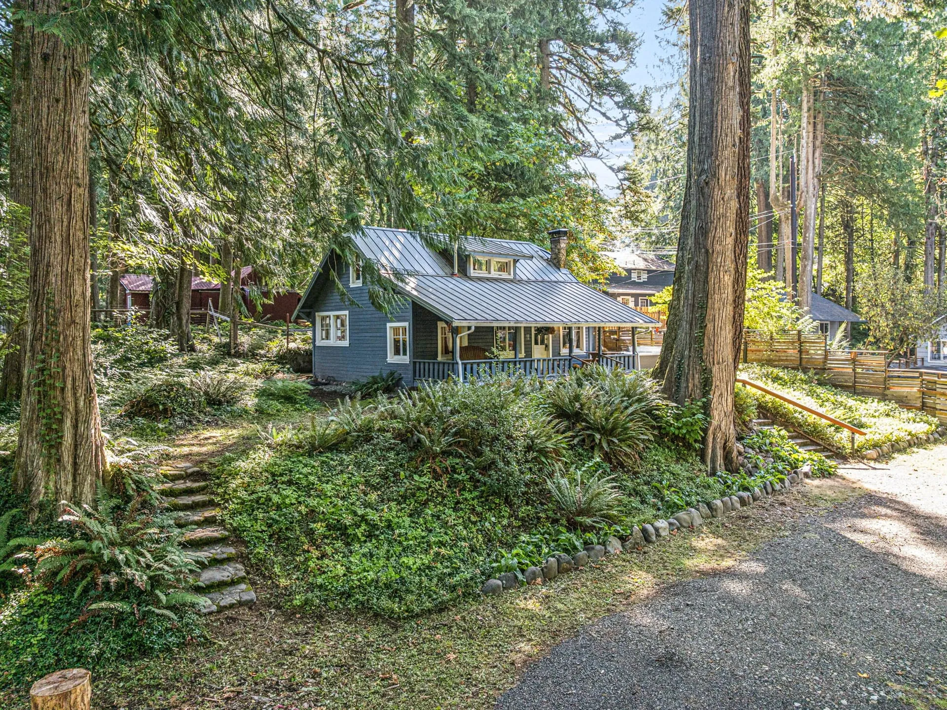 Cabin and driveway among old-growth trees